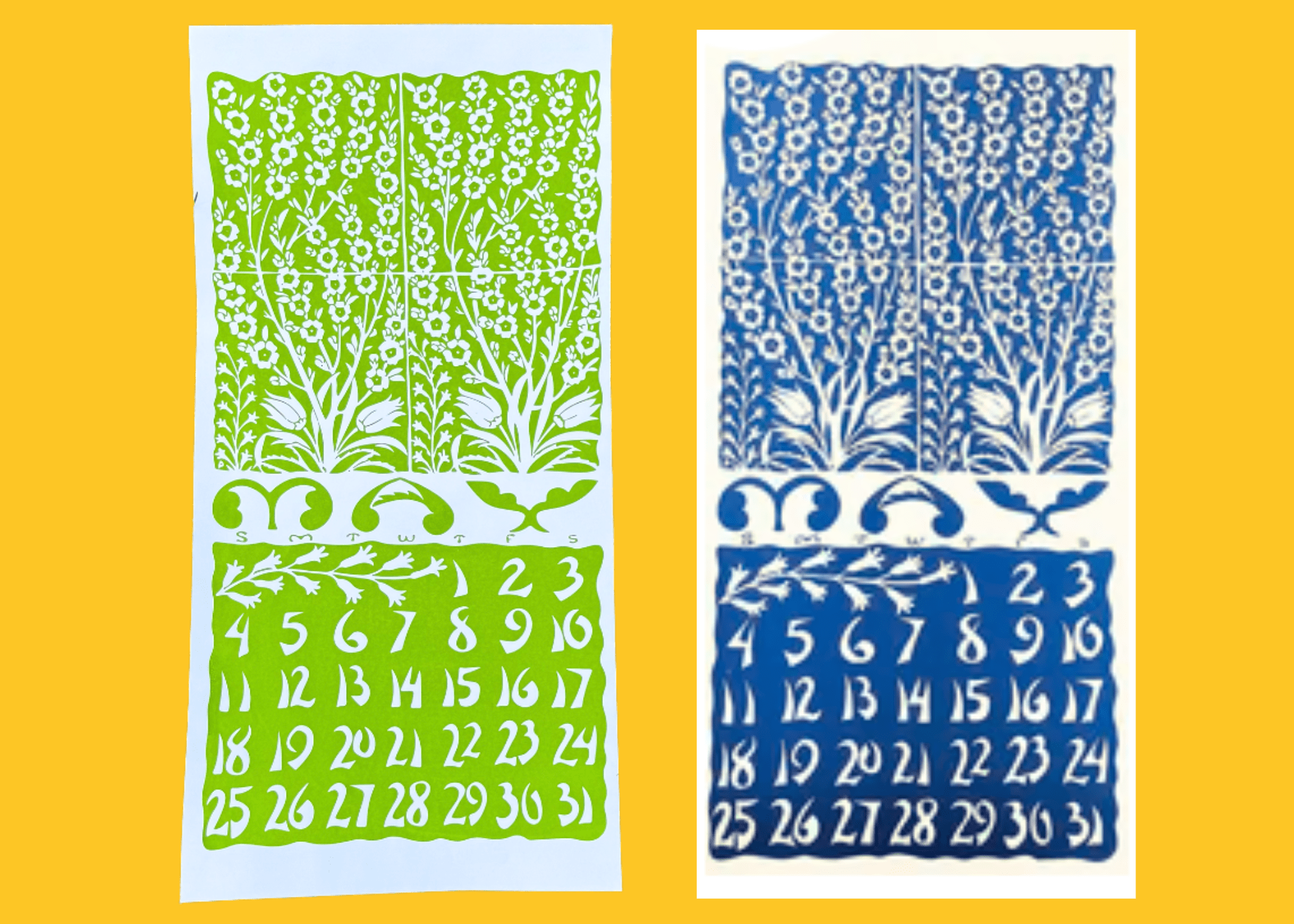 The story behind May 2025 - The Dolphin Studio