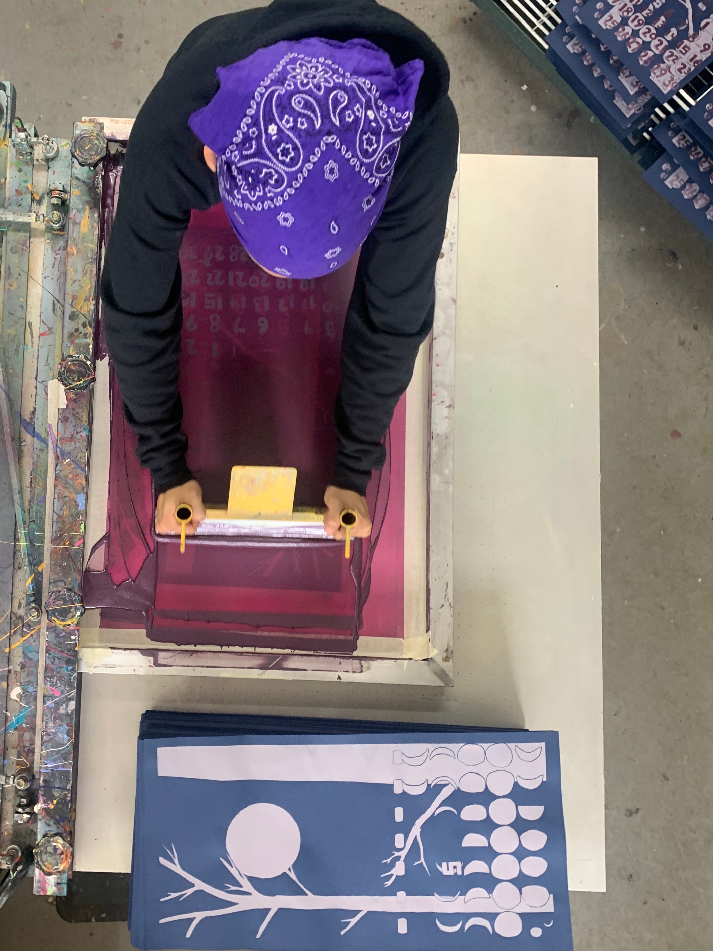 We're Basically The Brady Bunch - The Dolphin Studio