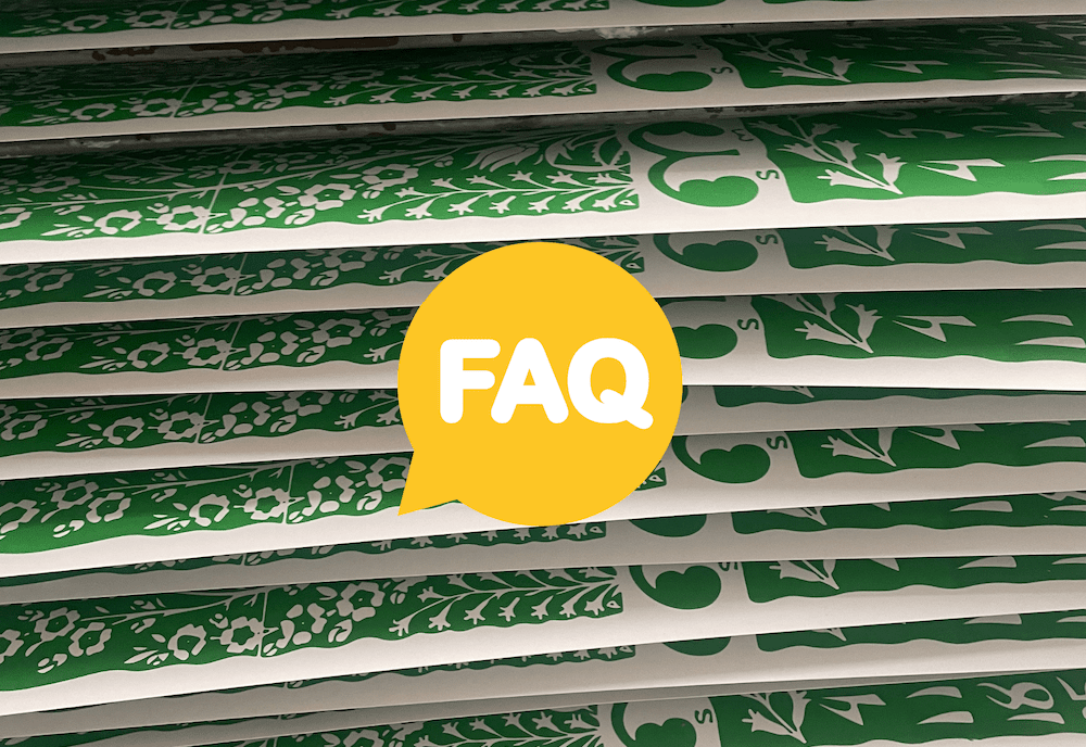 Frequently Asked Questions - The Dolphin Studio