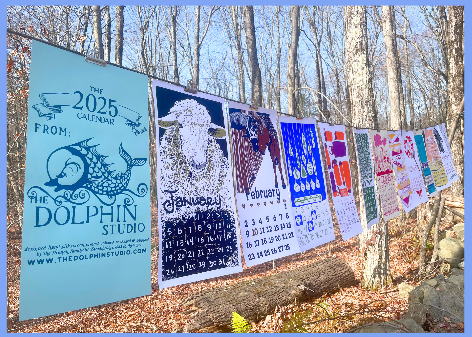 LOOKING BACK ON 2025 AT THE DOLPHIN STUDIO