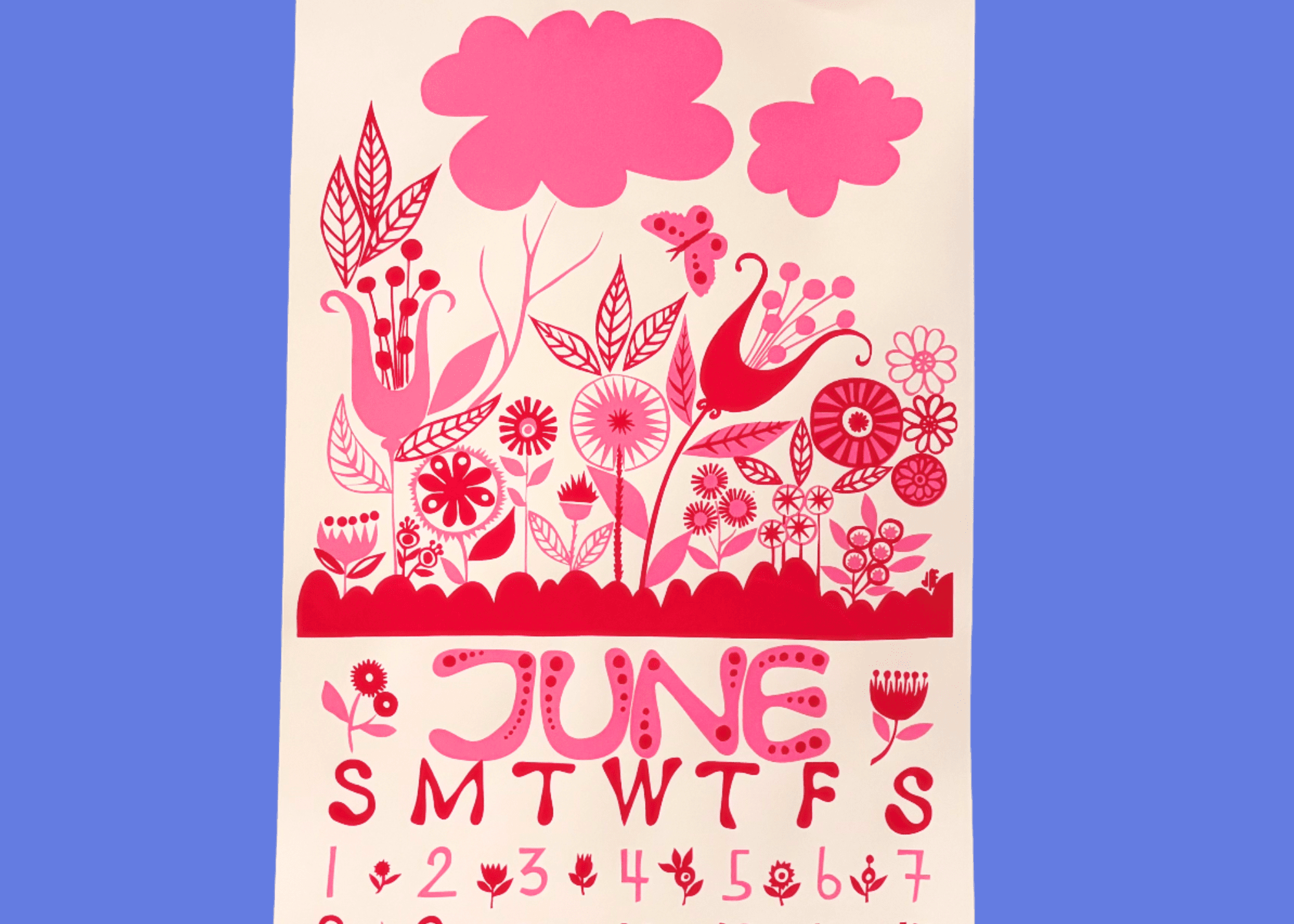 The Story Behind June 2025 - The Dolphin Studio