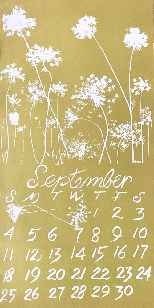 1983 Dolphin Studio Calendar Archive Prints