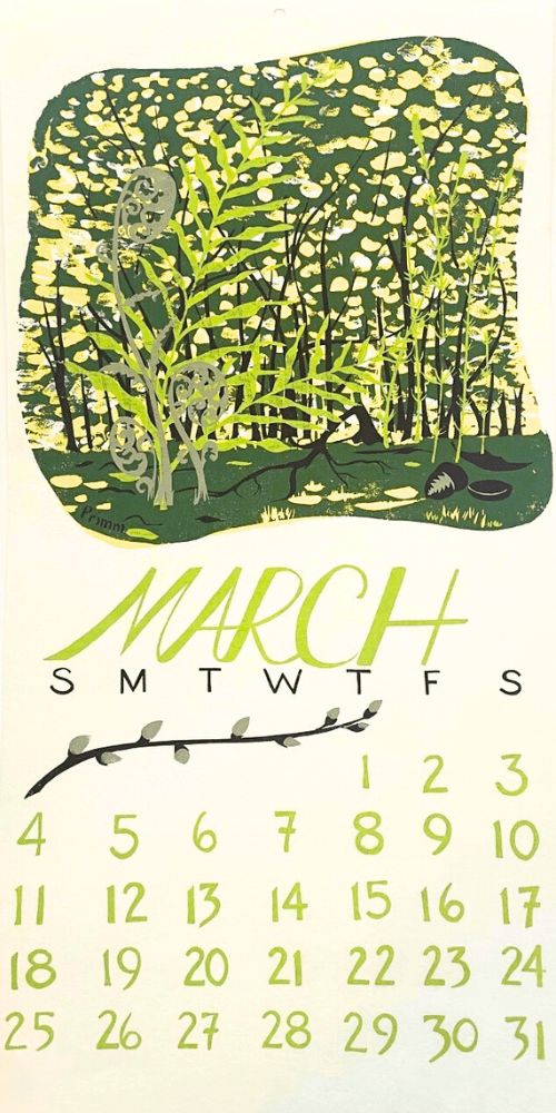 1973 Dolphin Studio Calendar Archive Prints - The Dolphin Studio