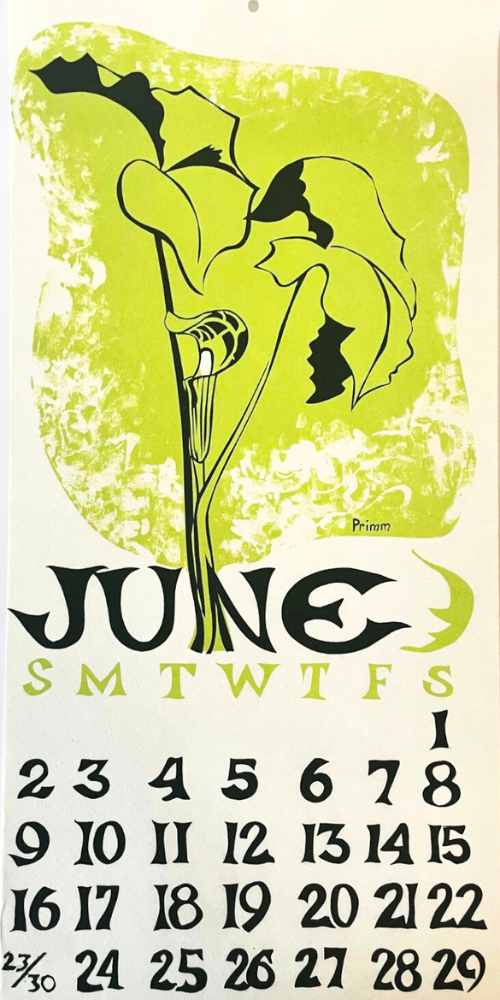 1974 Dolphin Studio Calendar Archive Prints