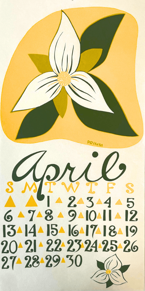 1975 Dolphin Studio Calendar Archive Prints - The Dolphin Studio