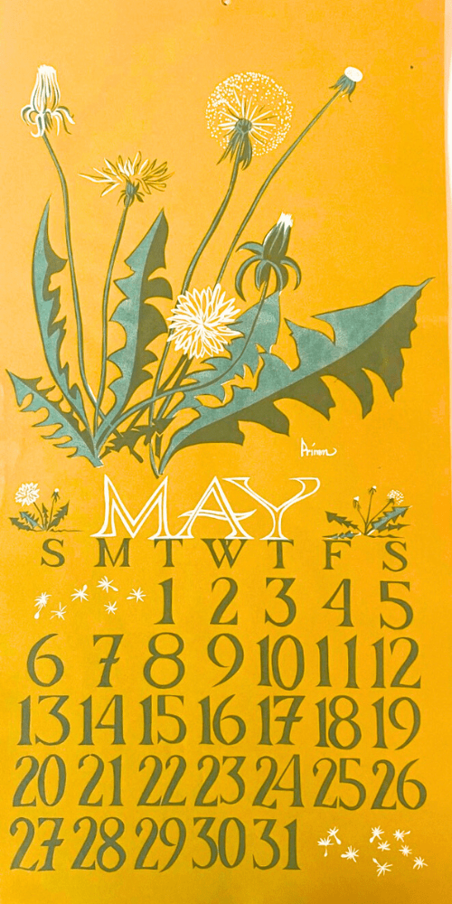 1979 Dolphin Studio Calendar Archive Prints - The Dolphin Studio