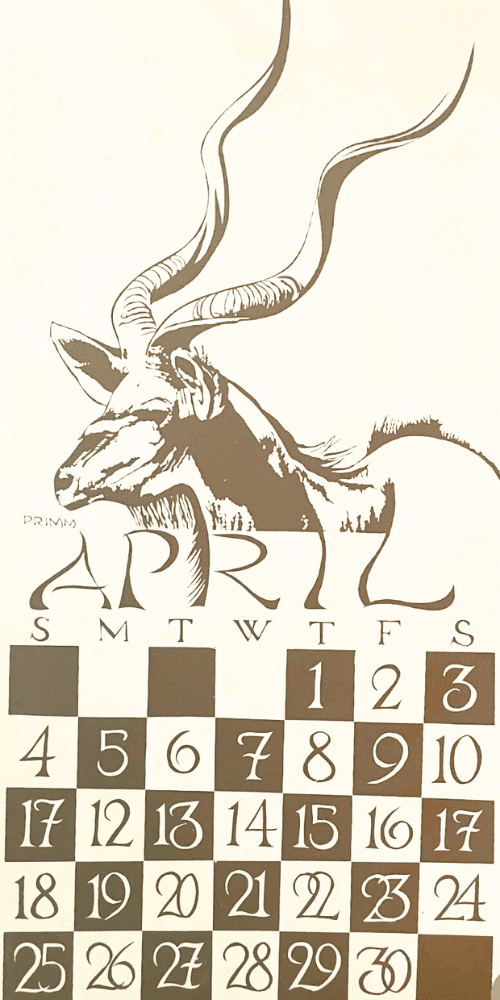 1993 Dolphin Studio Calendar Archive Prints - The Dolphin Studio