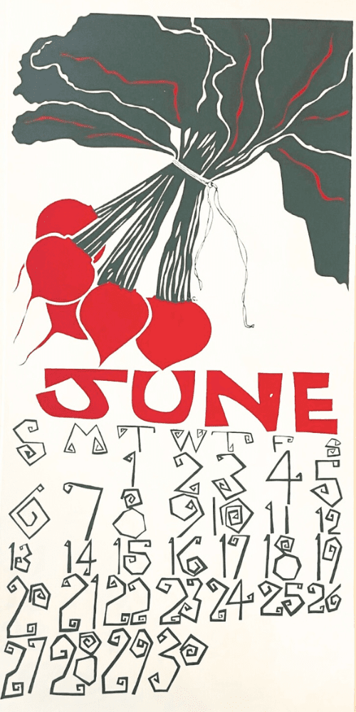 1993 Dolphin Studio Calendar Archive Prints - The Dolphin Studio