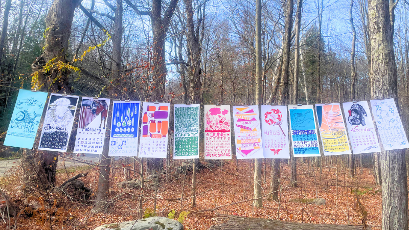 PRE-ORDER The 2027 Dolphin Studio Calendar - 56th Edition