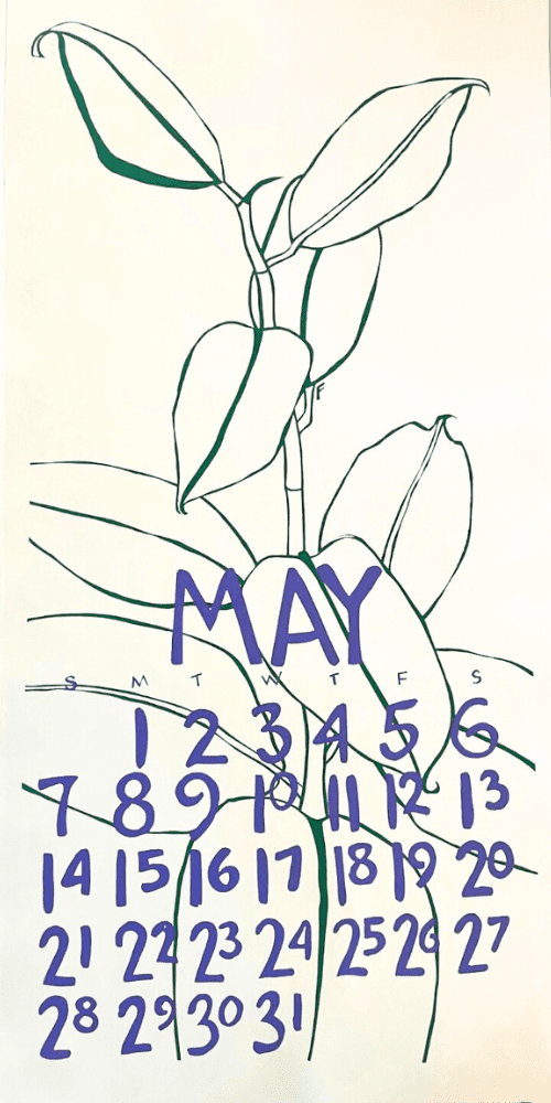 2000 Dolphin Studio Calendar Archive Print - The Dolphin Studio