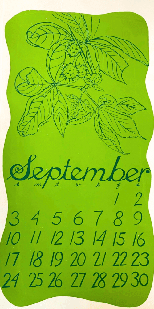 2000 Dolphin Studio Calendar Archive Print - The Dolphin Studio