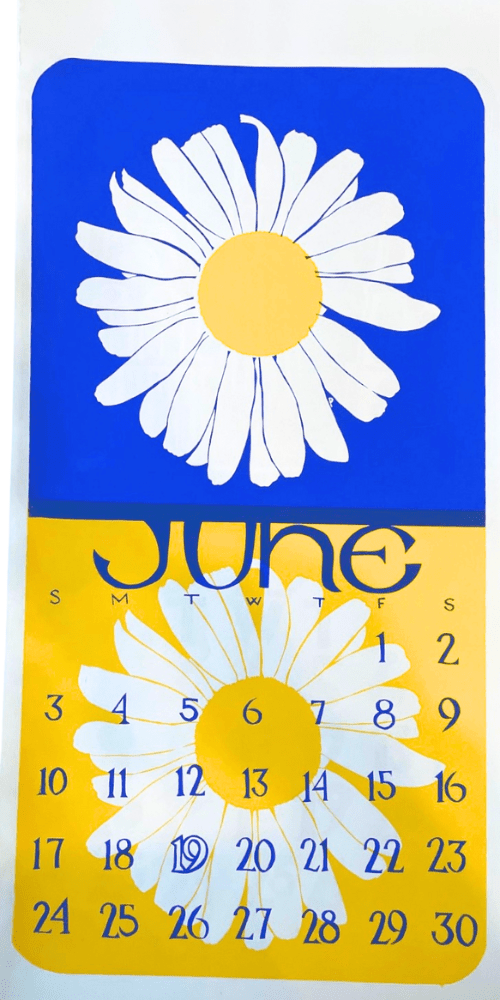 2007 Dolphin Studio Calendar Archive Print - The Dolphin Studio