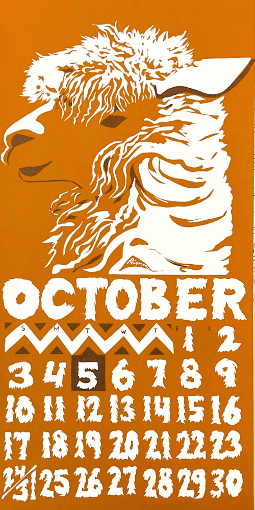 2010 Dolphin Studio Calendar Archive Print - The Dolphin Studio