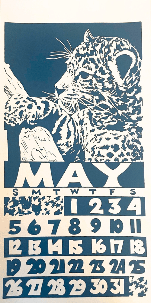 2019 Dolphin Studio Calendar Archive Print - The Dolphin Studio