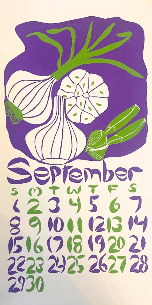 2019 Dolphin Studio Calendar Archive Print - The Dolphin Studio