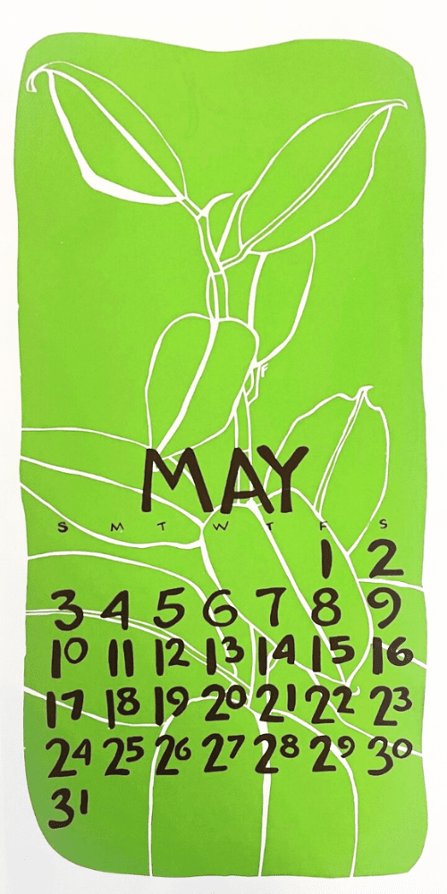 2020 Dolphin Studio Calendar Archive Print - The Dolphin Studio