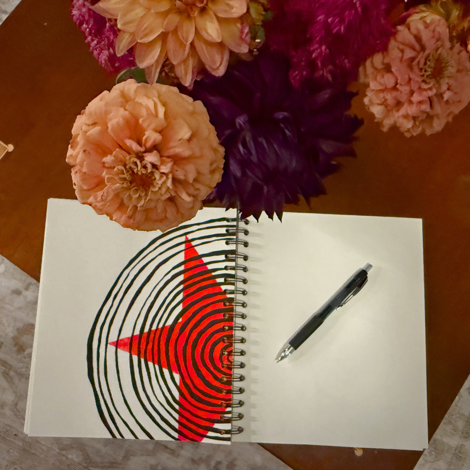 Dolphin Studio Doodle Journals