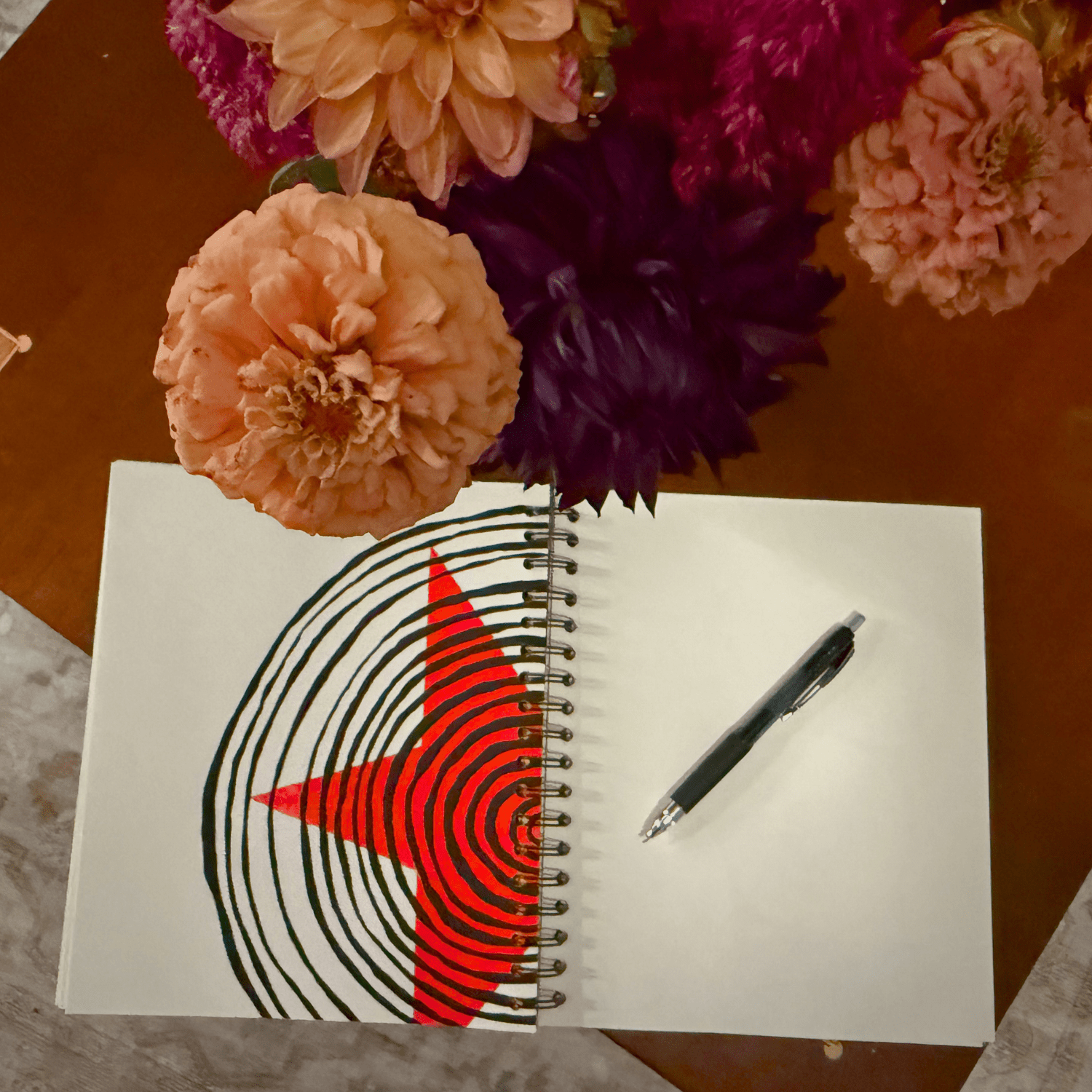 Dolphin Studio Doodle Journals - The Dolphin Studio