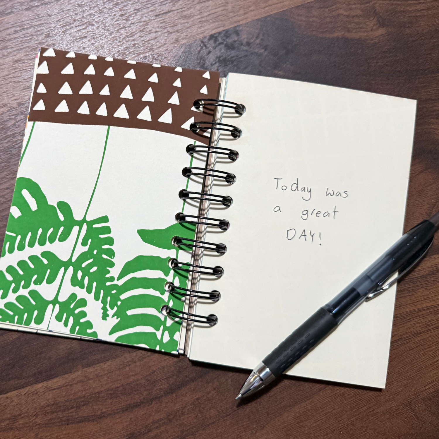 Dolphin Studio Doodle Journals