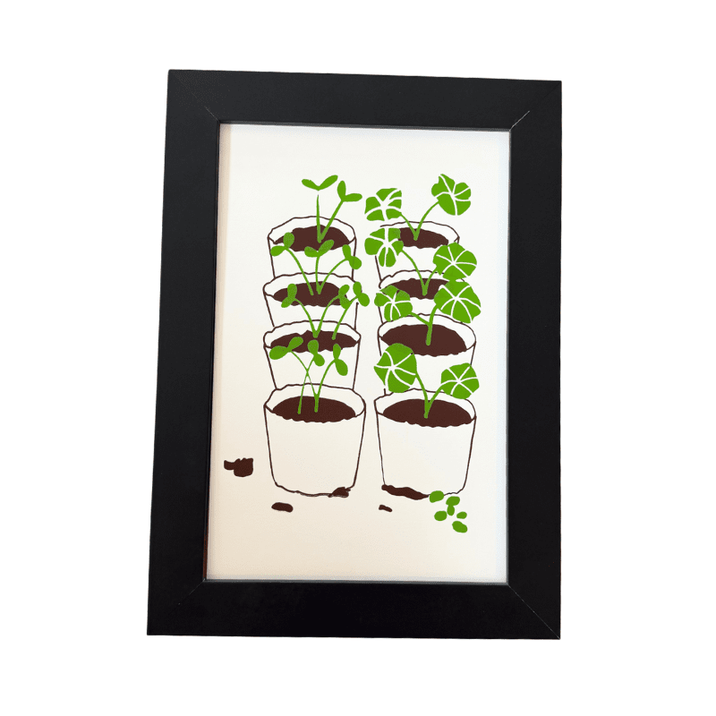 Grow where you are planted (April 2025) - The Dolphin Studio