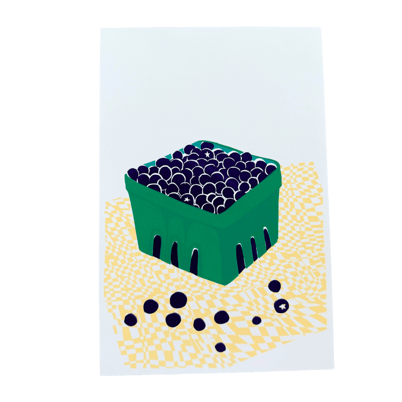 A bunch of Blueberries (September 2025) - The Dolphin Studio