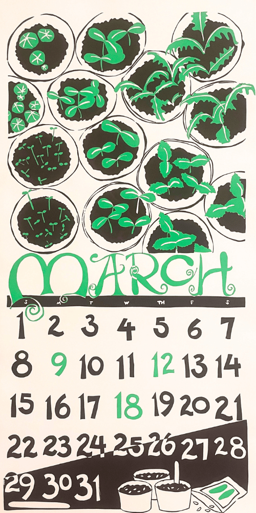 2015 Dolphin Studio Calendar Archive Print - The Dolphin Studio