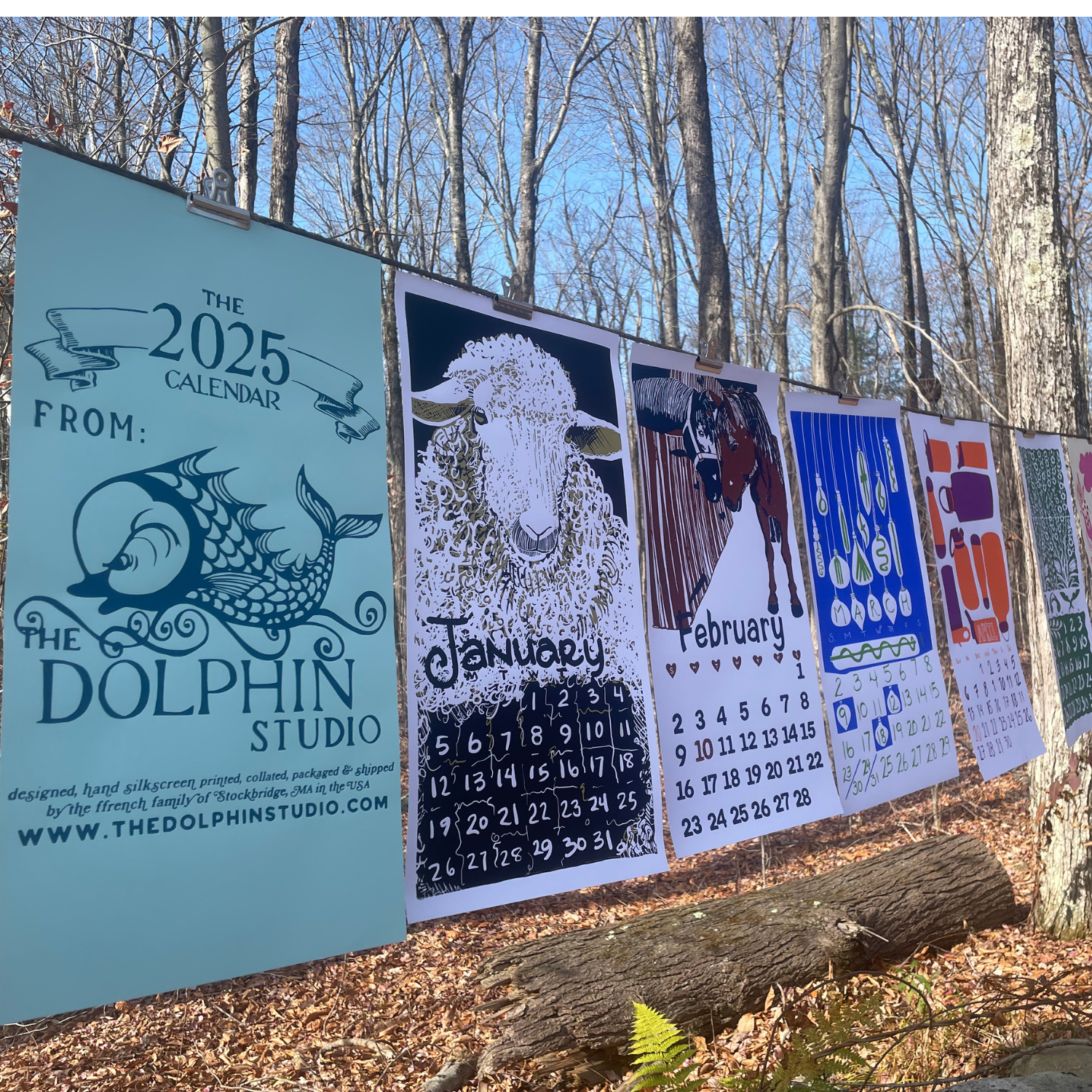 THE 2026 Dolphin Studio Calendar - 55th Edition (LAST BATCH shipping 1/15/26) - The Dolphin Studio