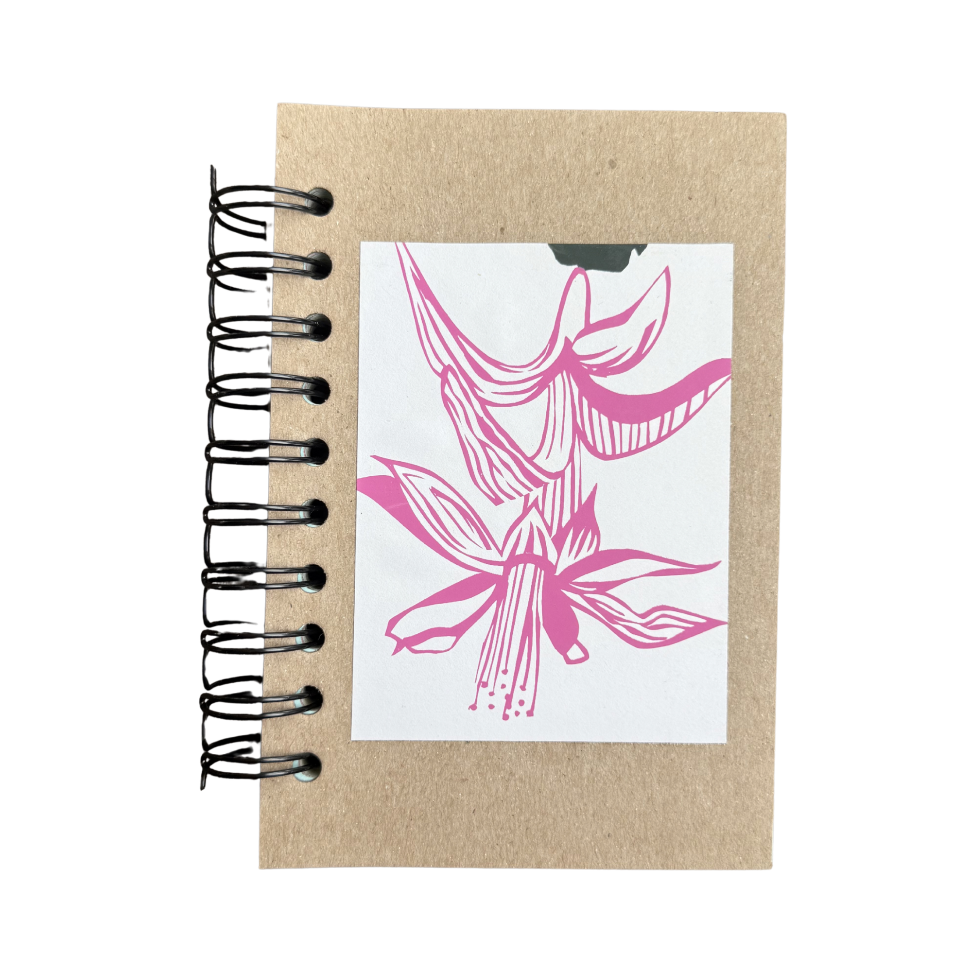 Blooming Cactus Dolphin Doodle Journals