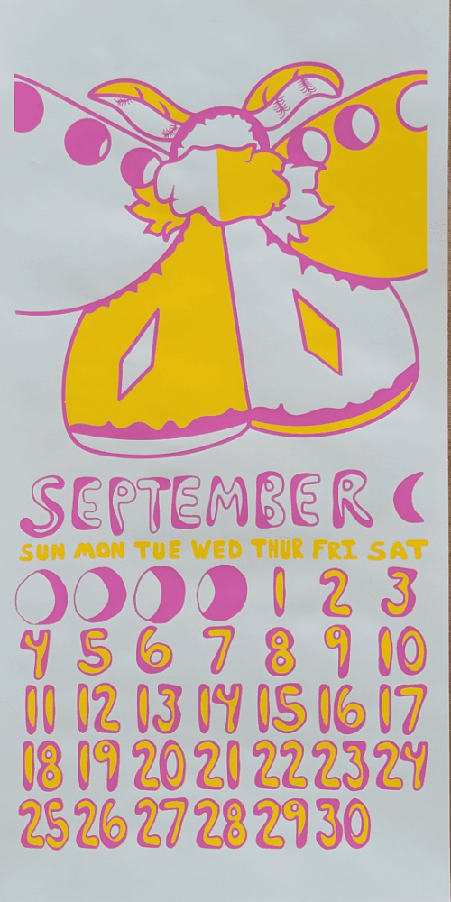 2022 Dolphin Studio Calendar Archive Print - The Dolphin Studio