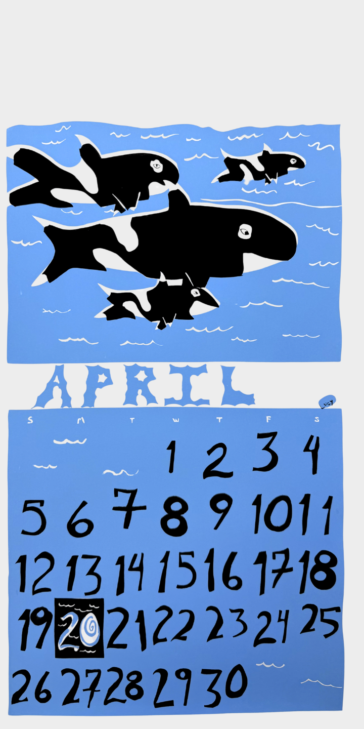 2015 Dolphin Studio Calendar Archive Print