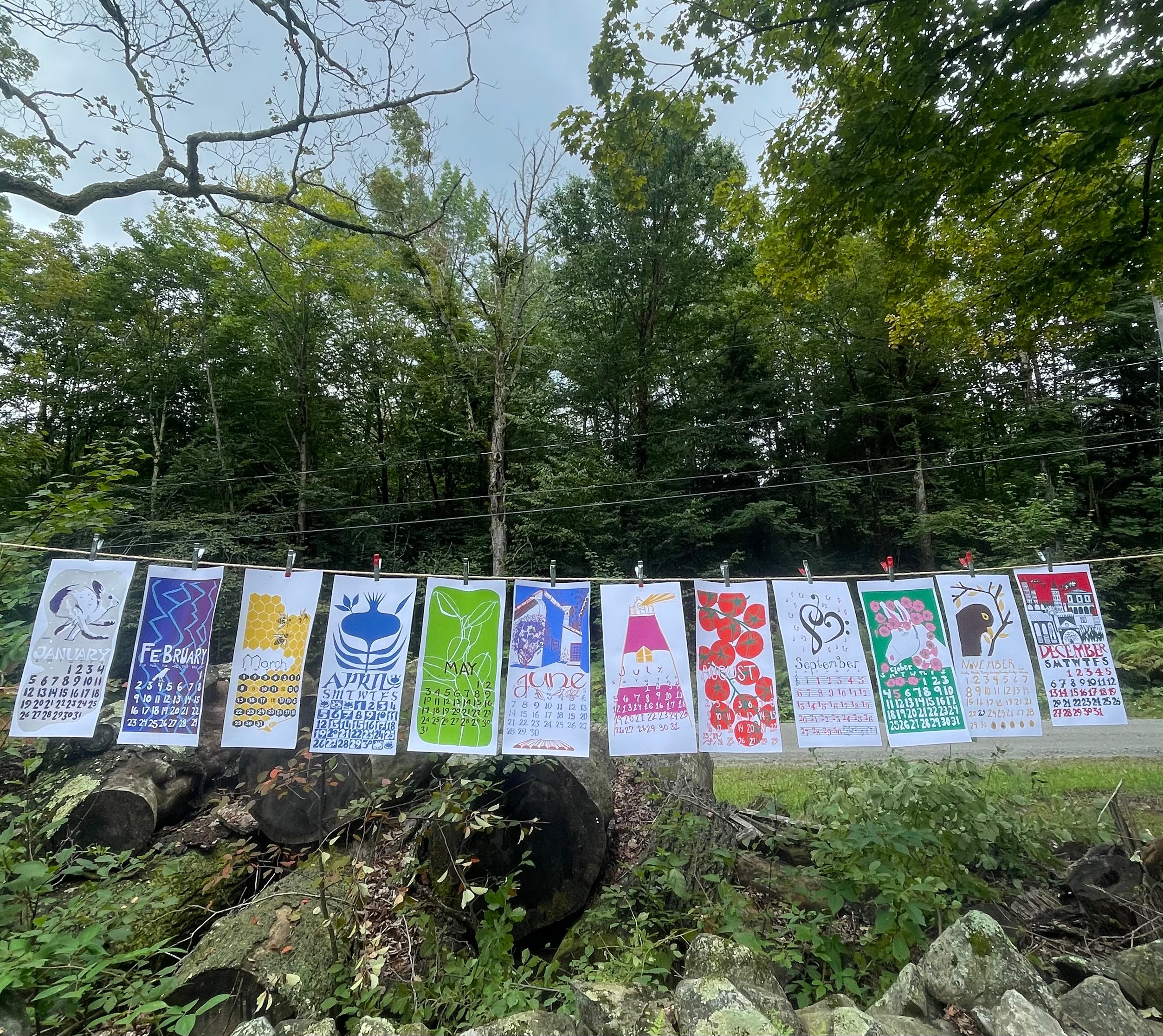 THE 2026 Dolphin Studio Calendar - 55th Edition