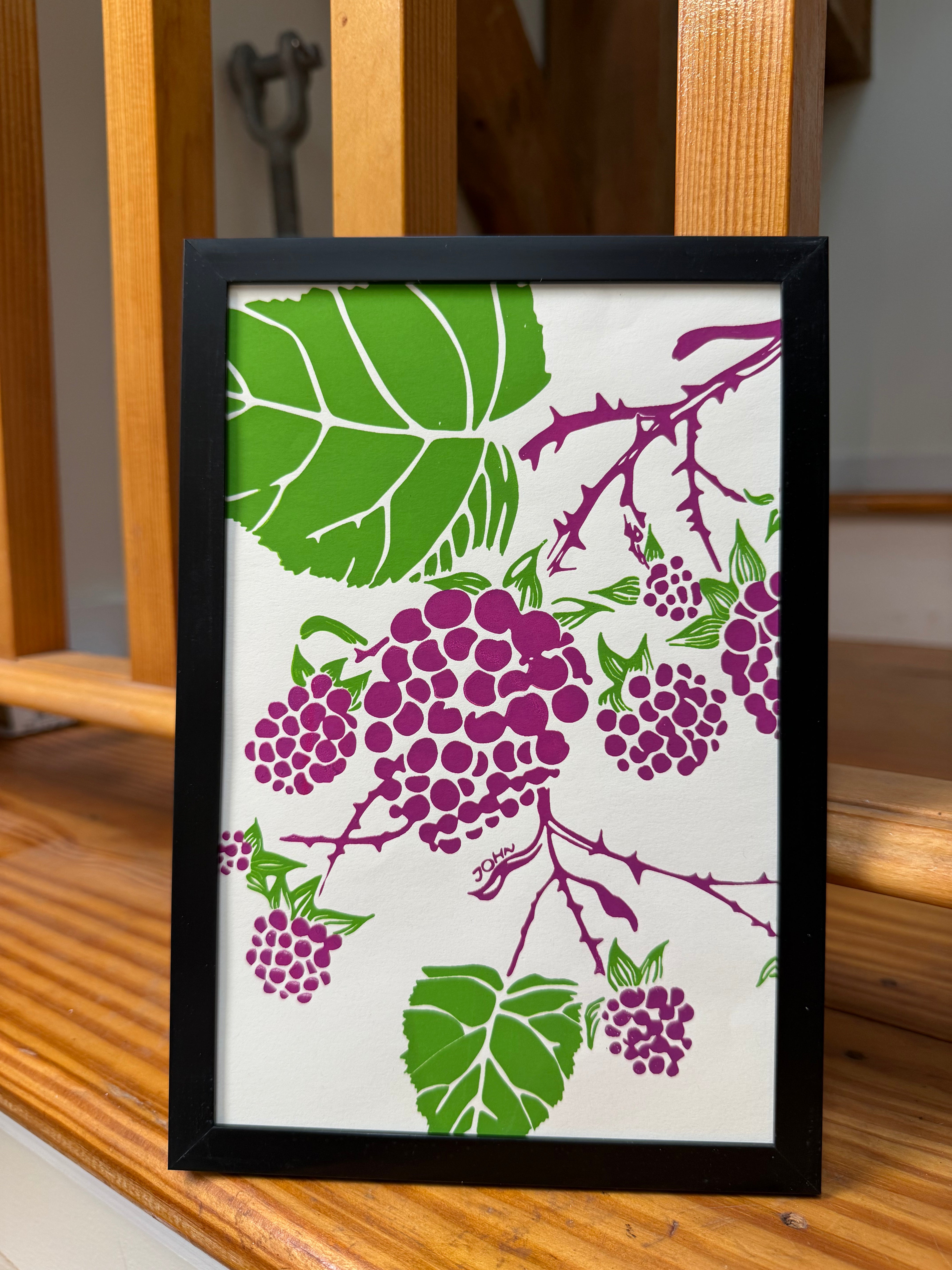 One-of-a-Kind Framed Blackberry Print by John ffrench