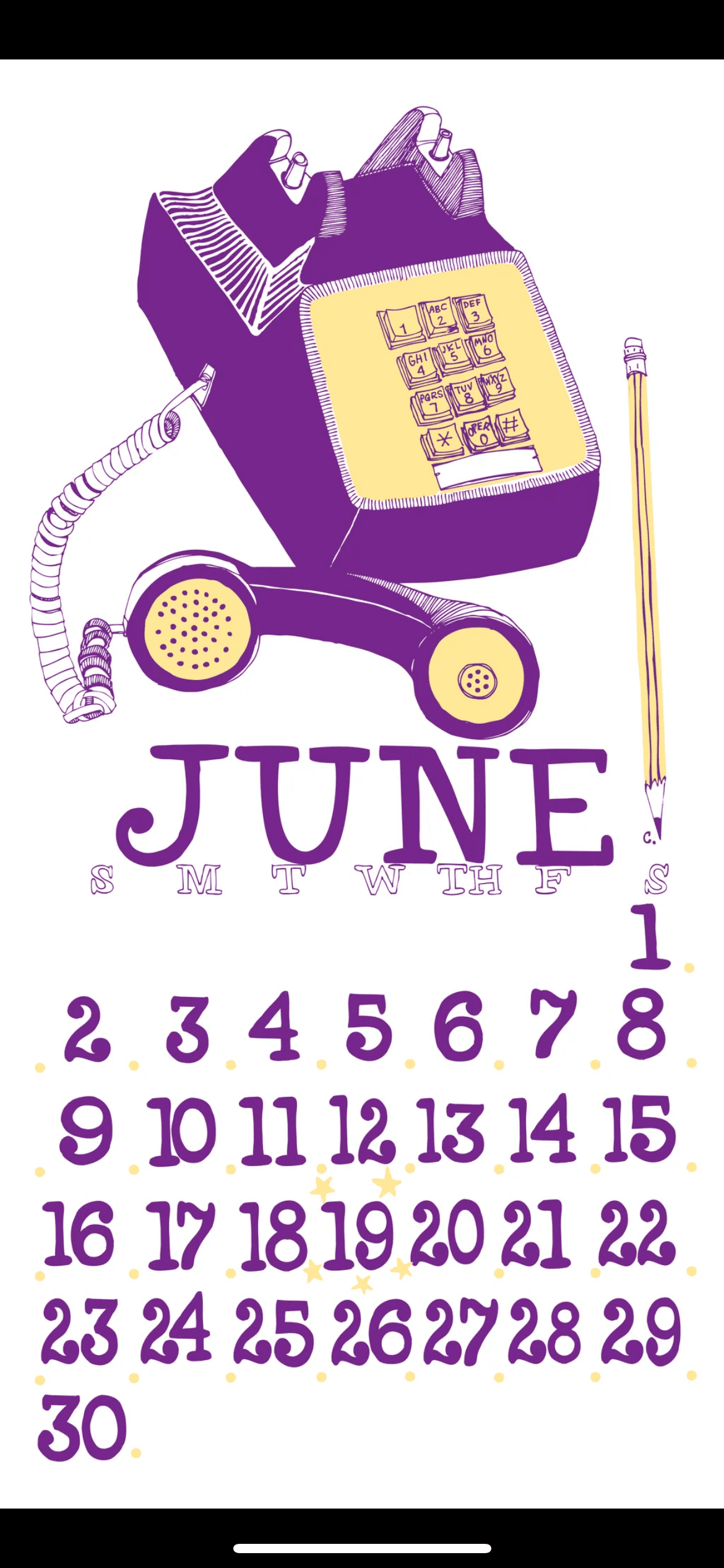 2013 Dolphin Studio Calendar Archive Print - The Dolphin Studio