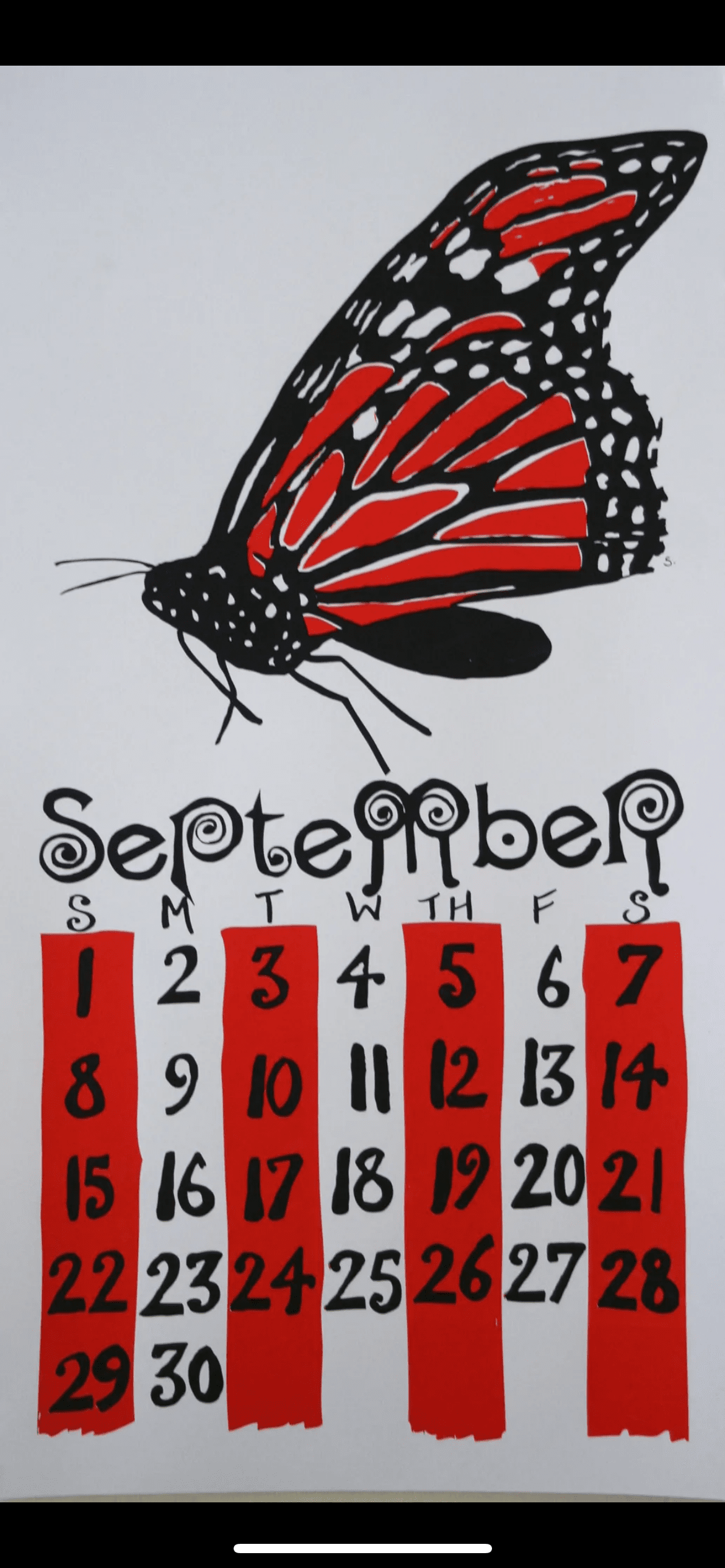 2013 Dolphin Studio Calendar Archive Print - The Dolphin Studio