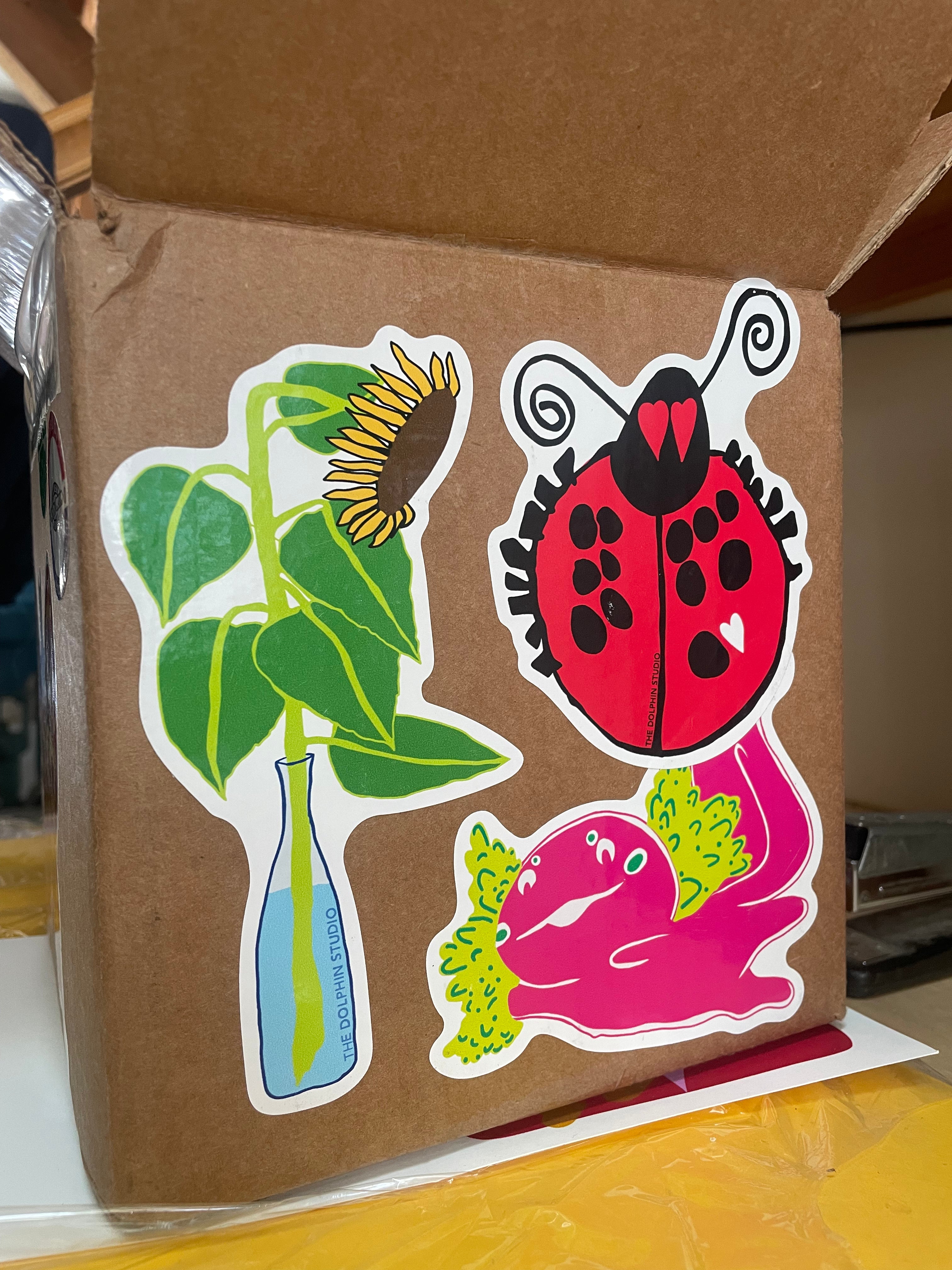 Dolphin Studio Stickers - Choose from 5 Designs