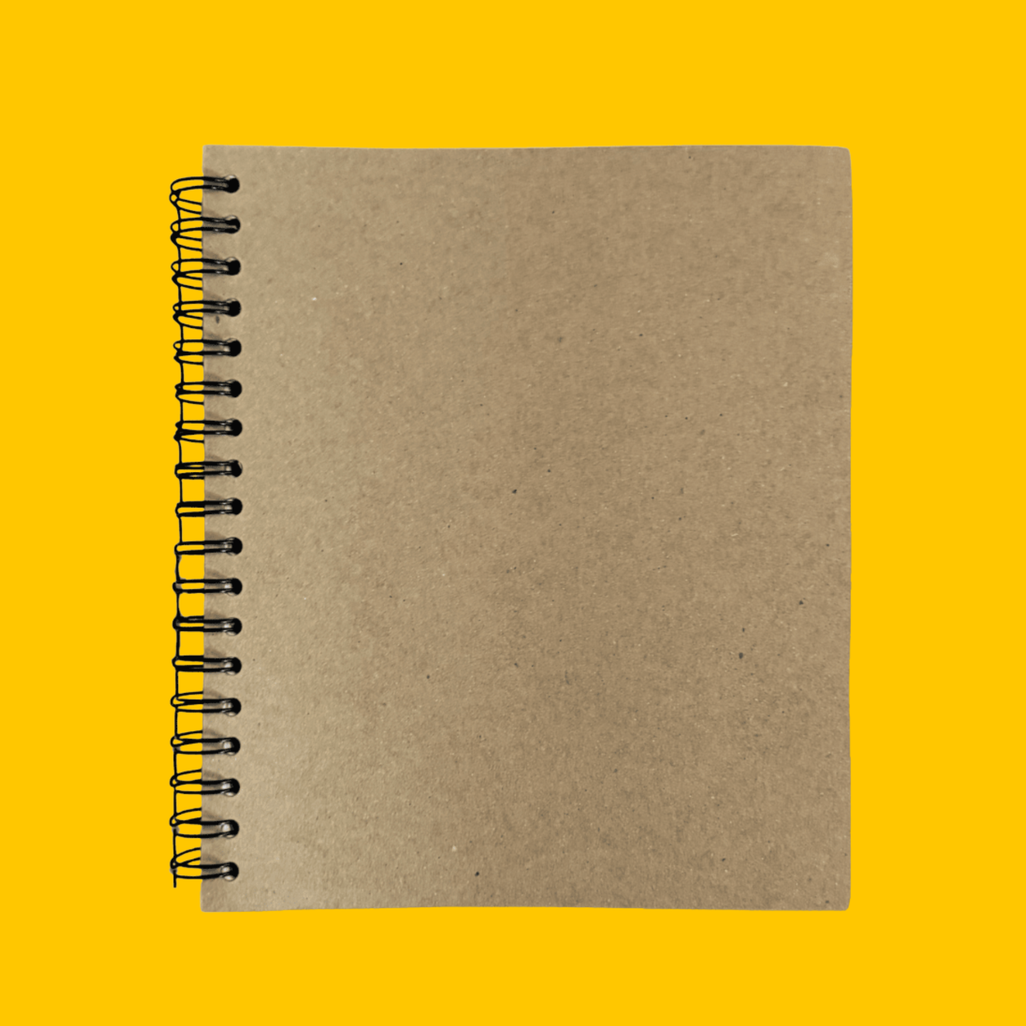Dolphin Studio Doodle Journals - Seconds