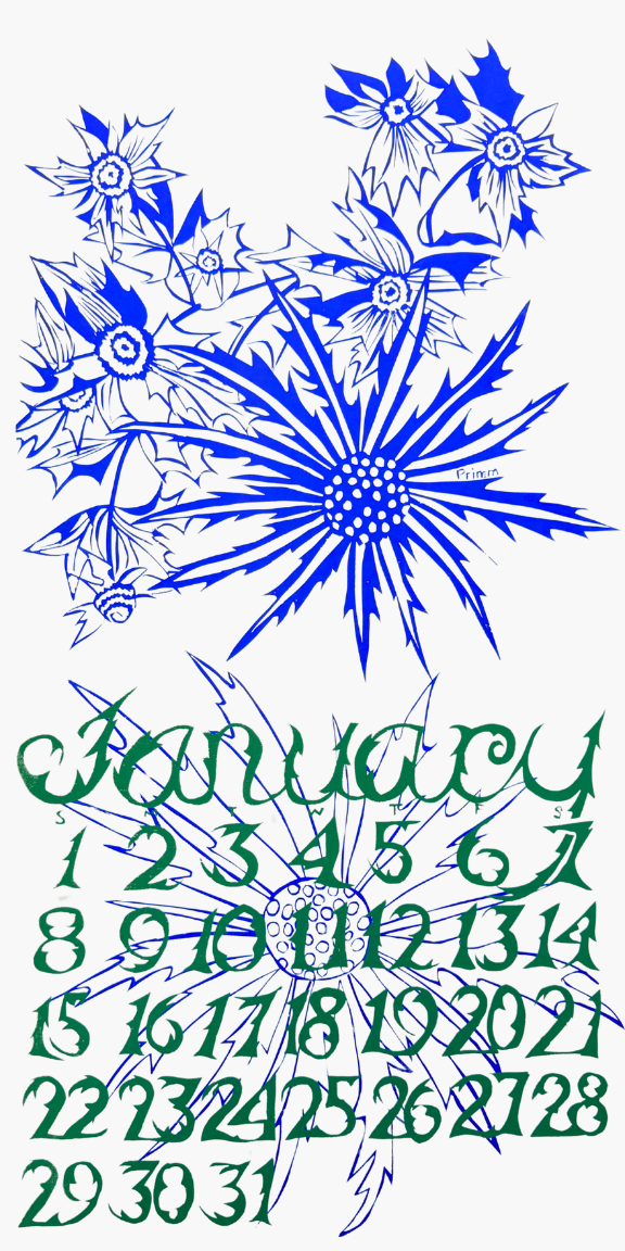 2012 Dolphin Studio Calendar Archive Print