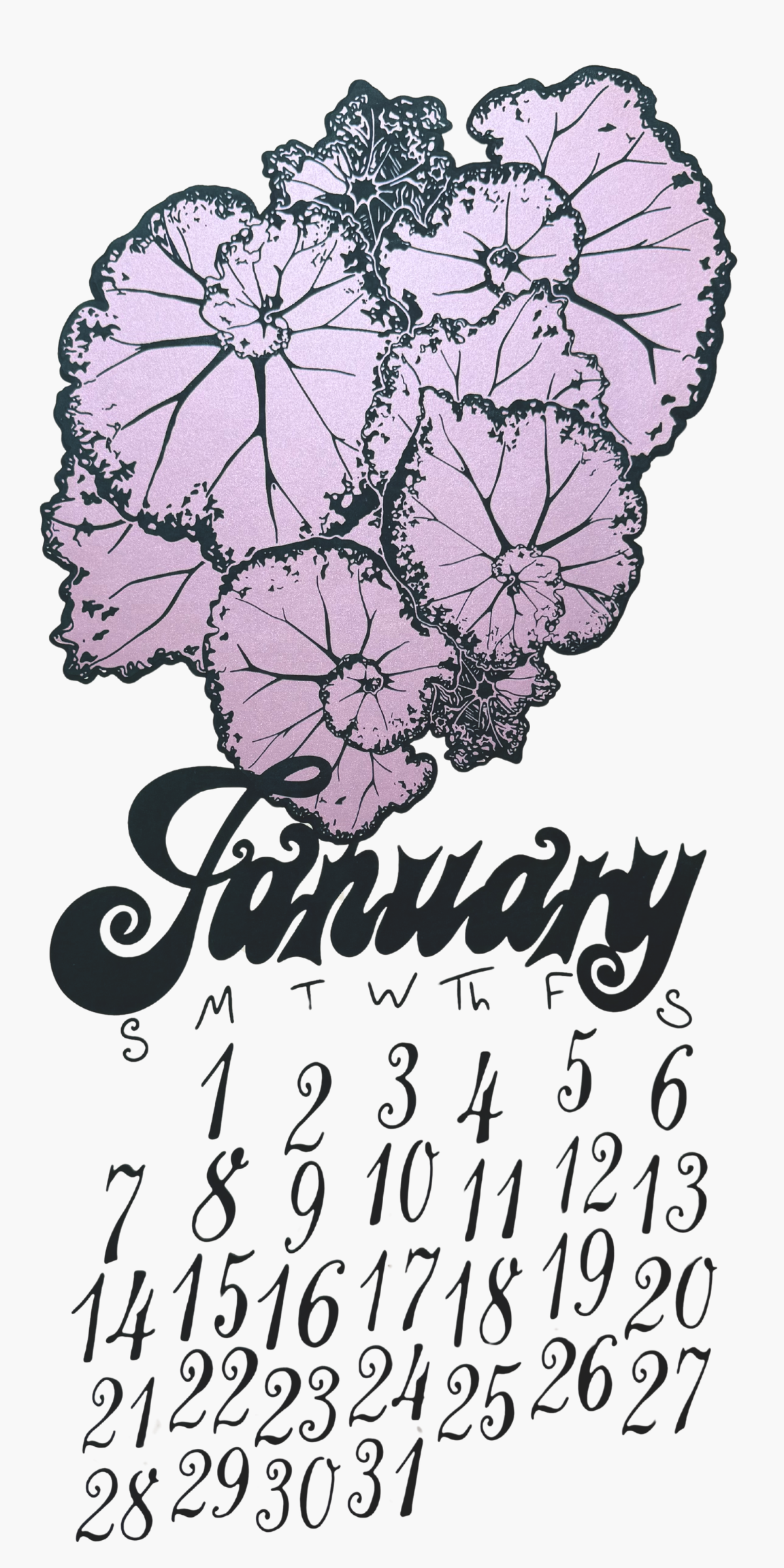2024 Dolphin Studio Calendar Archive Prints