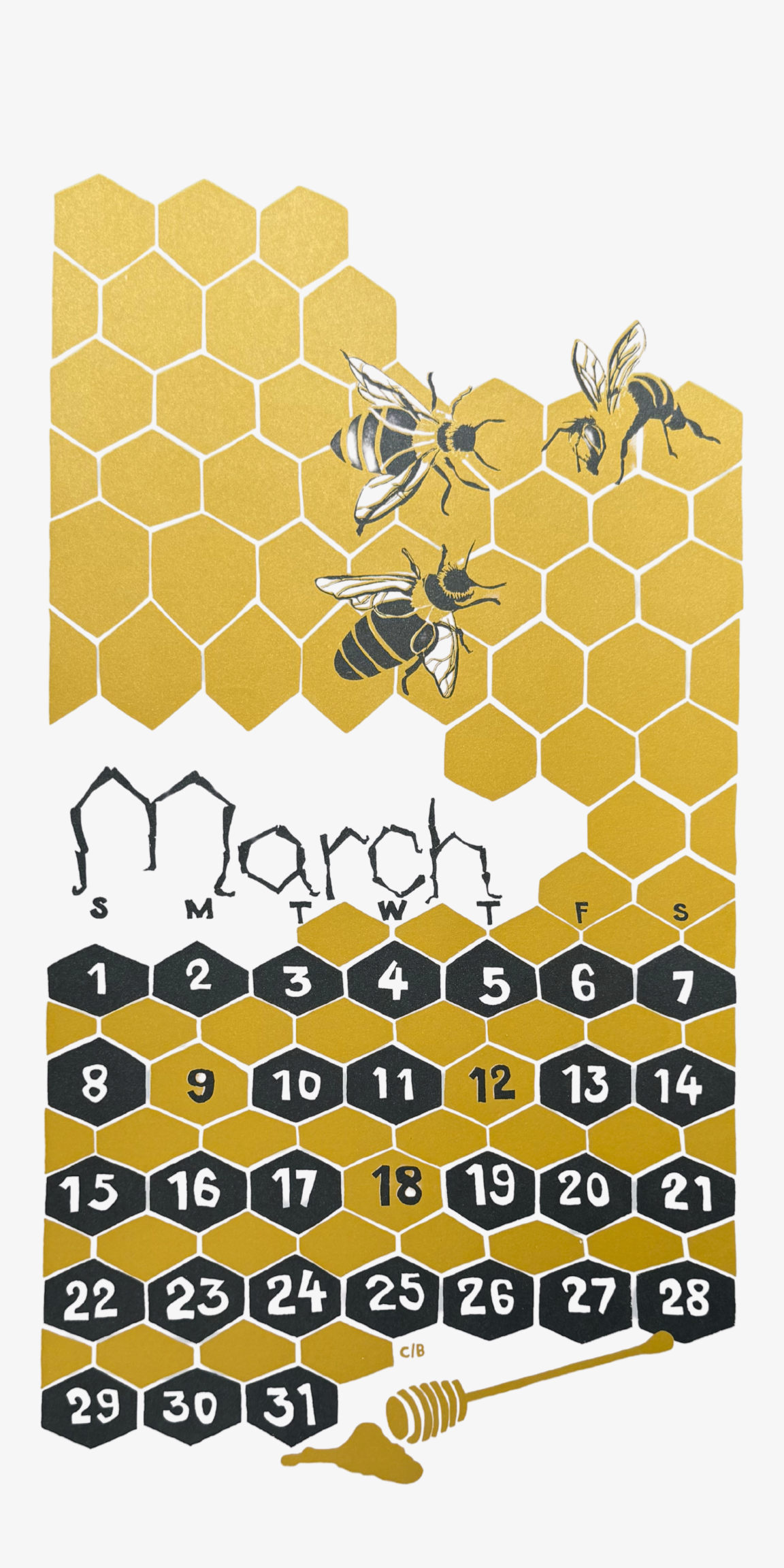 2020 Dolphin Studio Calendar Archive Print