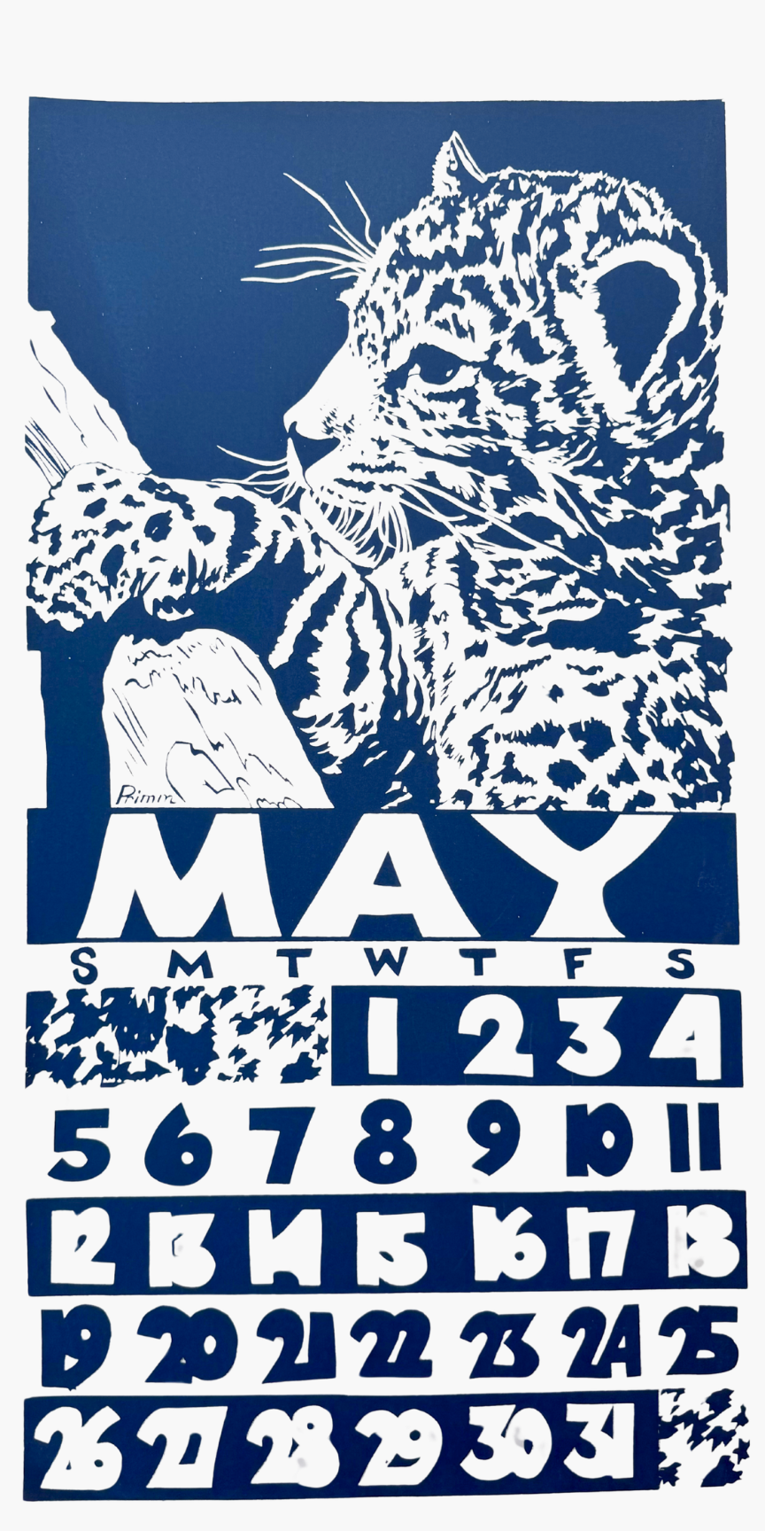 2019 Dolphin Studio Calendar Archive Print