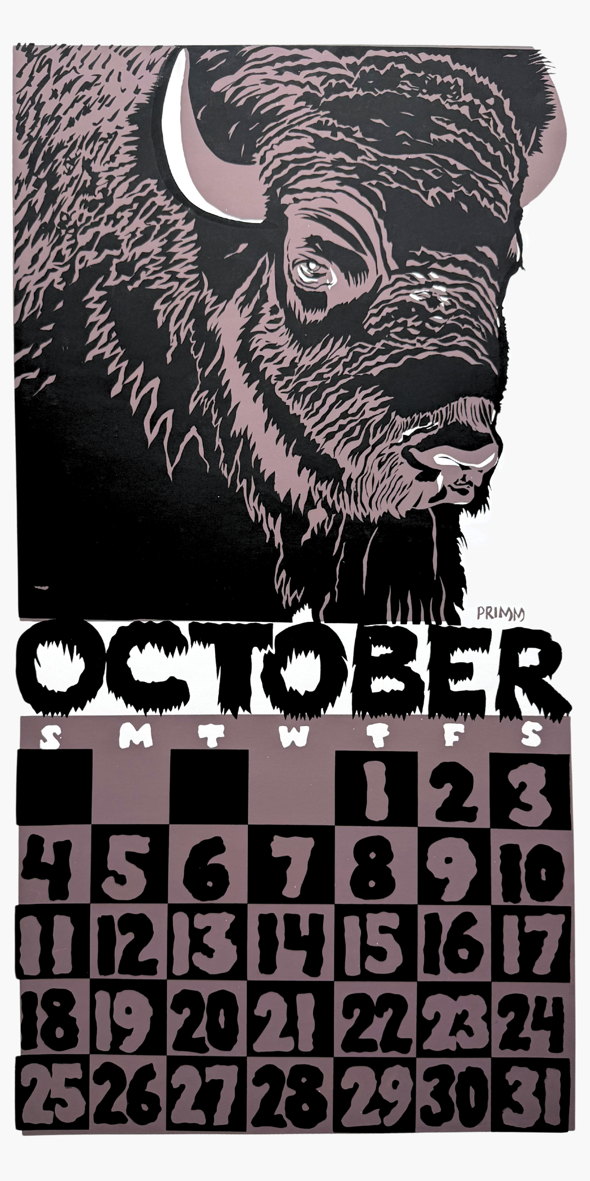 1998 Dolphin Studio Calendar Archive Prints