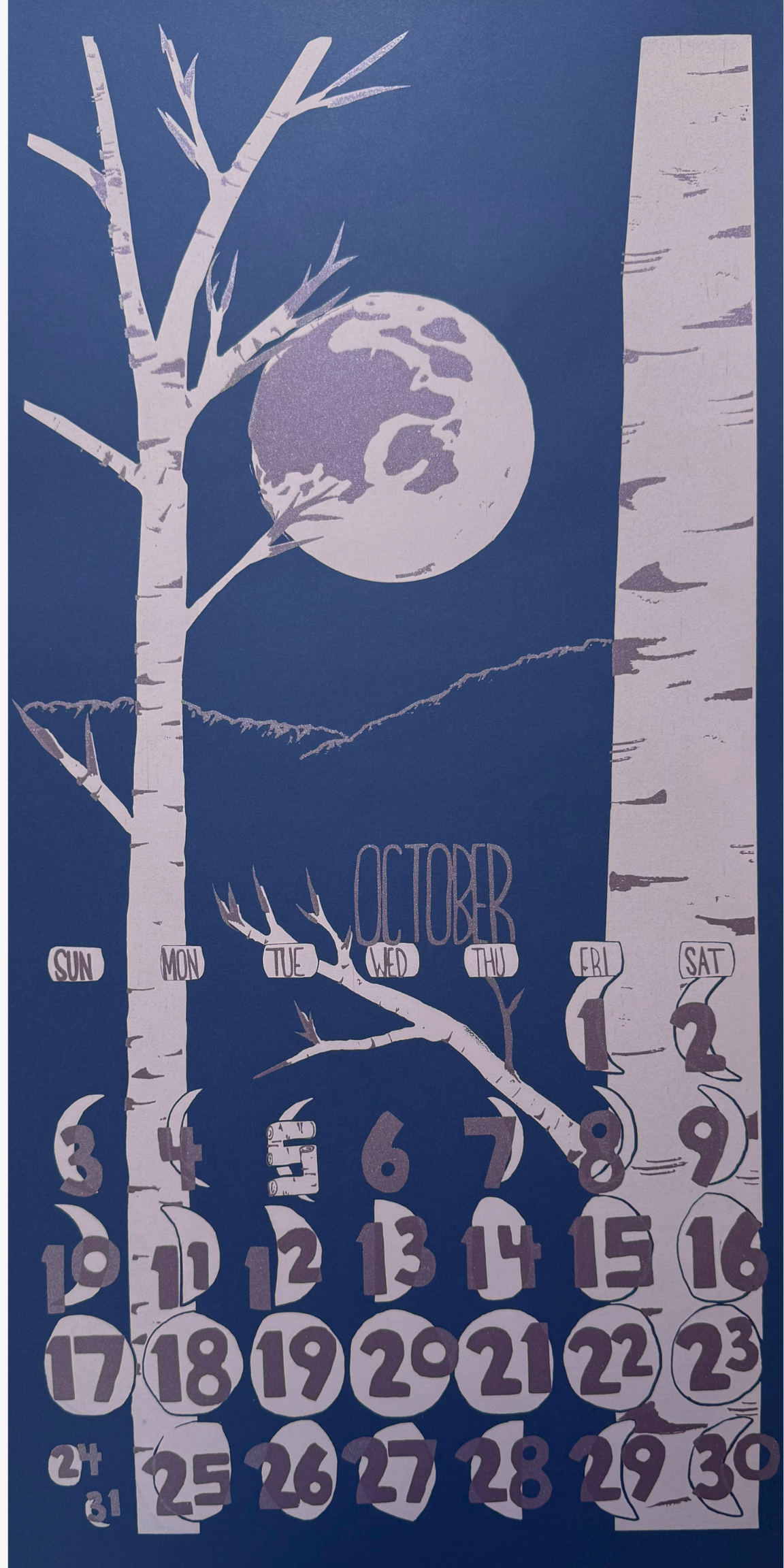 2021 Dolphin Studio Calendar Archive Print