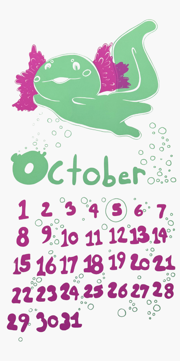 2023 Dolphin Studio Calendar Archive Print