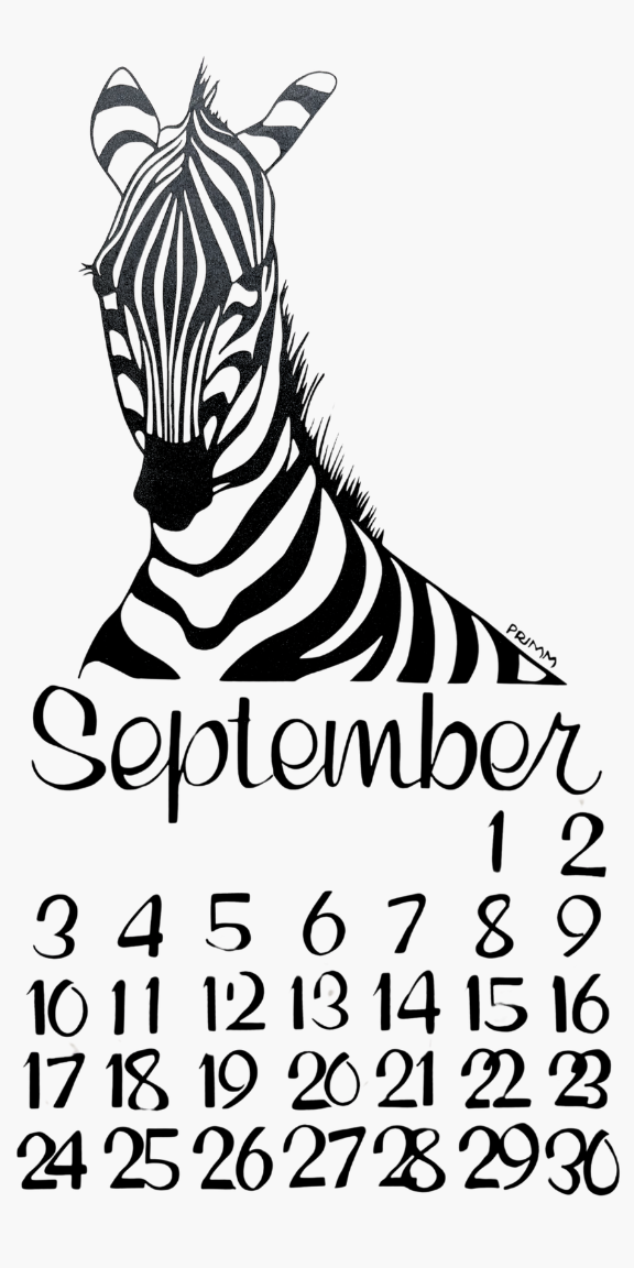 2023 Dolphin Studio Calendar Archive Print