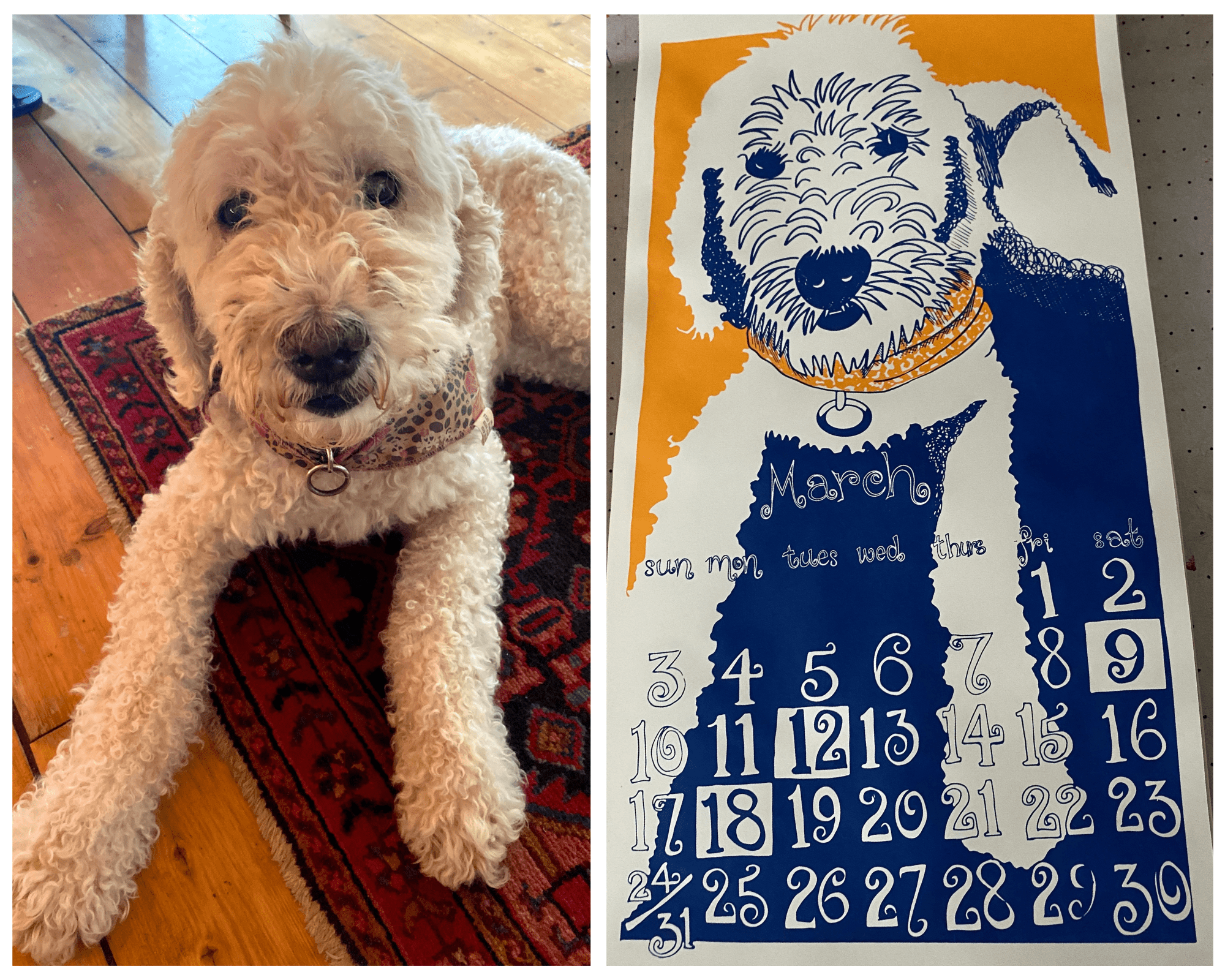 The Story of our March 2024 Calendar Image - The Dolphin Studio