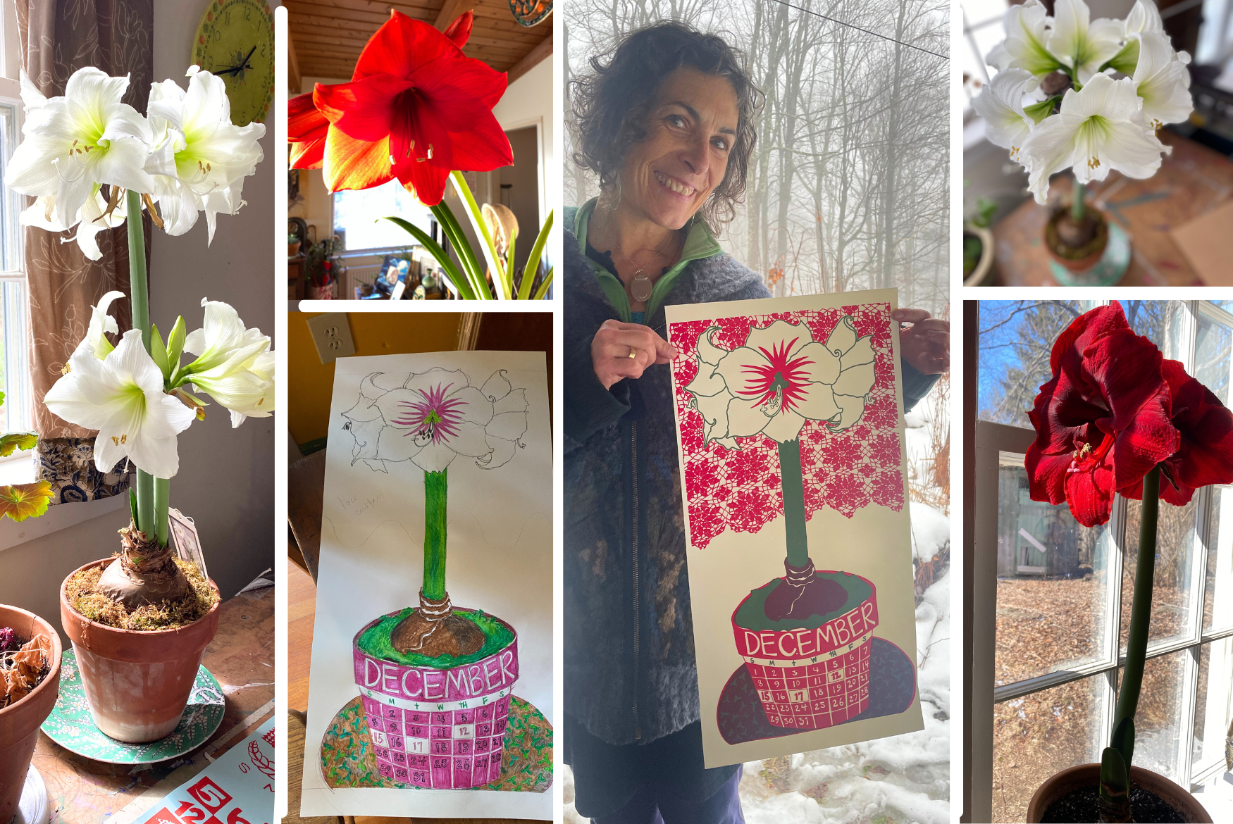 The Story of December 2024 - The Dolphin Studio