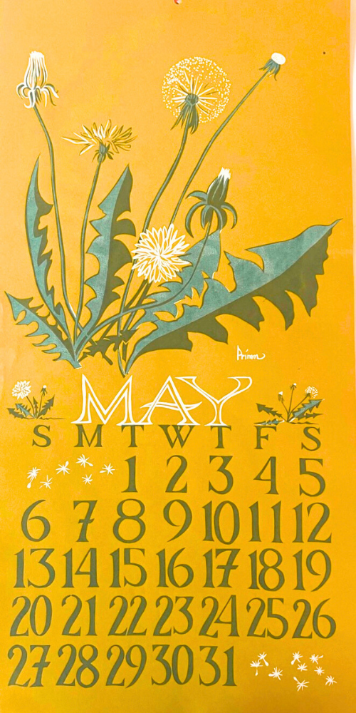 1979 Dolphin Studio Calendar Archive Prints