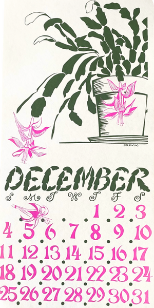 1988 Dolphin Studio Calendar Archive Prints