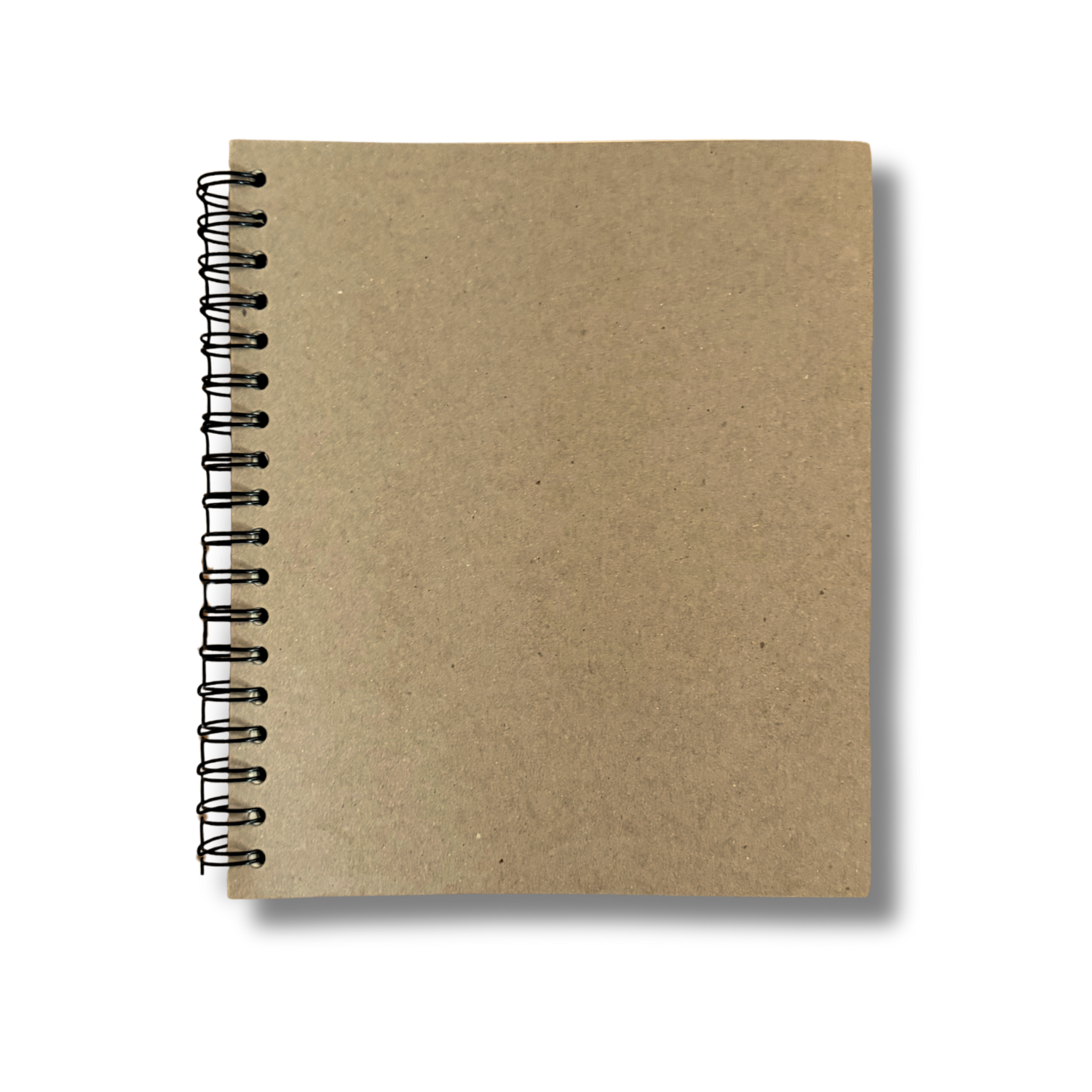 Dolphin Studio Doodle Journals