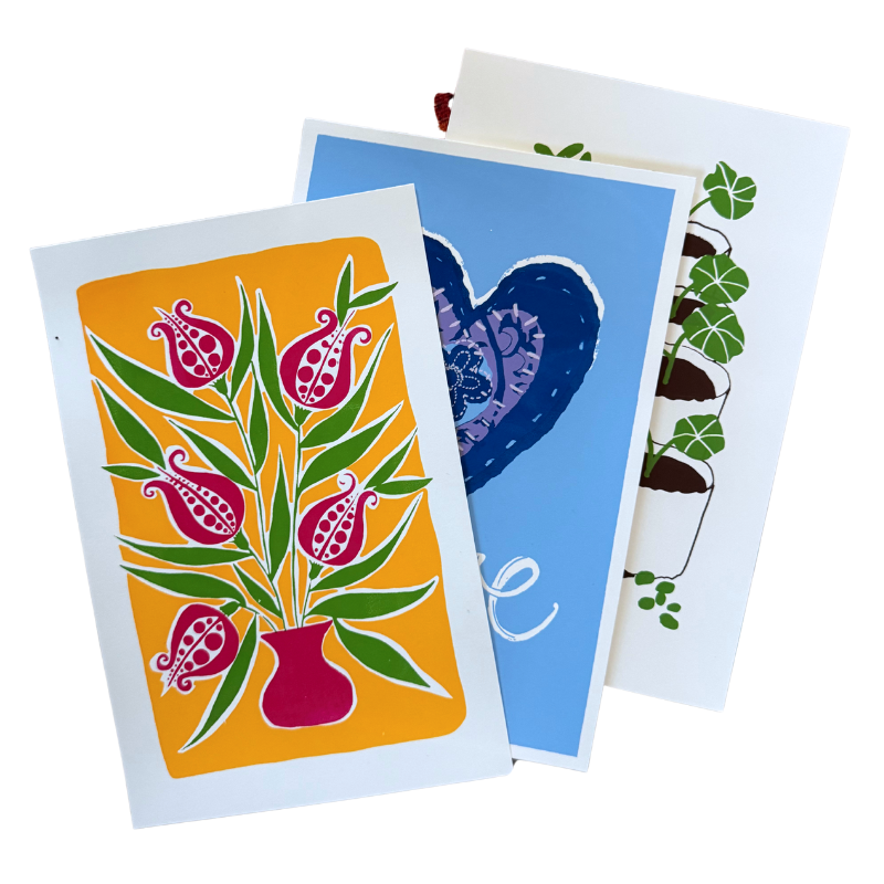 Dolphin Studio Print Club Membership